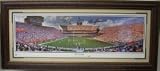 Steve Spurrier signed Florida Gators Panoramic 24x49 Framed w/Wuerffel