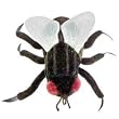 GIANT Microbes - House Fly (Musca domestica) - Plush Toy