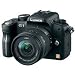 Panasonic Lumix DMC-G1 12.1MP Digital Camera with Lumix G Vario 14-45 mm f/3.5-5.6 ASPH Mega OIS Lens (Red)