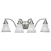 Sea Gull Lighting 40012-773 Alexandria Four-Light Vanity, Two-Tone Nickel Finish with Clear Highlighted Satin Etched Glass