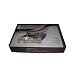 Car Parking Alarm System Reversing Sensor Kit With Rearview 