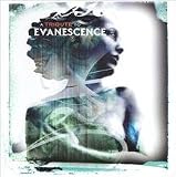 A Tribute to Evanescence