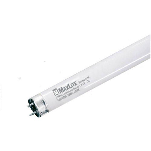 Maxlite FB32T8/841 Plug-In Fluorescent 20 Pack