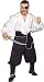 Pirate Swashbuckler Adult Costume