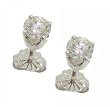 Diamond Solitare Stud Earrings 1/2 Cttw Solid White Gold