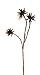 Star Pod Spray w/3 Pods (New Generation PVC)
