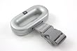 Salter Luggage Scale, Silver