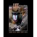 Books : Life The Science of Biology Instructors' Edition