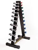 Golds Gym Vertical Dumbell Tree