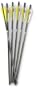 6 - Pk. Victory X - 22 Crossbow Bolts