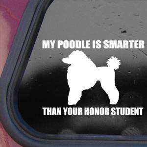 My POODLE Is Smarter White Sticker Decal Funny Laptop Die-cut White Sticker Decal