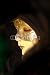 Wallmonkeys Peel and Stick Wall Decals - Maske - Removable Graphic
