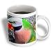 Birds - Moustached Parakeet - Mugs