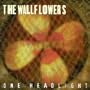 One Headlight