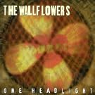 One Headlight