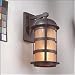 Troy Lighting Aspen Outdoor Wall Mount Lantern