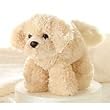 Aurora Plush Bailey Golden Retriever Mini Flopsie 8"