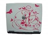 Dell Latitude D400 Laptop With White & Pink Butterfly Lid