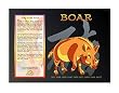 Asian Zodiac Poster Year of the Pig (Boar)~Dog 12 pc Set (one of each animal)