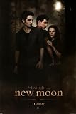 The Twilight Saga: New Moon 24-by-36-Inch Movie Poster with Edward, Jacob, and Bella