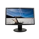 PX2211MW 22 black wide VGA/DV