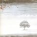 Wind And Wuthering