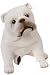 Bulldog (White) Figurine, Apprx 7 Inches (K-9 Kreations Dog Sculpture)