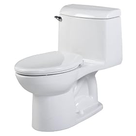 American Standard 2034.014.021 Champion One-Piece Elongated Toilet, Bone