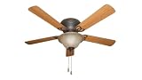 31b6I0Rp 2L. SL160  Litex AC52ABZ5C1 Ascot 52 Inch Five Blade Ceiling Fan, Aged Bronze with Teastain Light