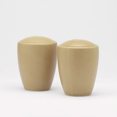 Noritake Colorwave Salt and Shakers Suede