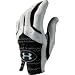 Sporting Goods : Under Armour Heatgear Golf Glove