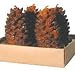 Pine Cone Wax Candles 2.5