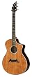 Breedlove Performance Series Focus Special Edition Acoustic Guitar, Made in U.S.A.