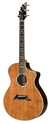 Breedlove Performance Series Focus Special Edition Acoustic Guitar, Made in U.S.A.