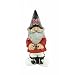 University of Nebraska Garden Gnome