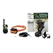 SportDOG FieldTrainer 400