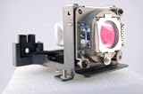 BenQ PB6200 projector lamp replacement bulb with housing - high quality replacement lamp