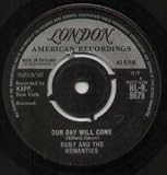 OUR DAY WILL COME 7" (45)