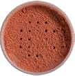 Earthly Body Earthliscentuals Face & Body Color, Bronze Luminous