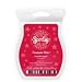 Cinnamon Bear Scentsy Bar Wickless Candle Tart Warmer Wax 3.2 Oz