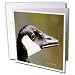 SmudgeArt Bird Artwork Designs - Canada Goose - Bird Photography - Greeting Cards-6 Greeting Cards with envelopes