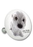 Hanadeka Club - Maltese - Drawer & Cabinet Knob