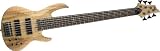 ESP LTD B-206SM 6-String Bass Spalted Maple