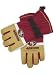 San Francisco 49ers Team Nylon Ski Glove, Size= Medium