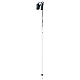 Leki Flex Lite Titanium Trigger Ski Poles 2010