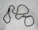 Polyrope London Quick Dog Lead Combo, 5/16 x 6' Green & Tan