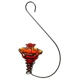 MiniBlossom Hanging Hummingbird Feeder Gloria Flame Red by PARASOL