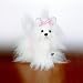 Webkinz Lil Kinz Yorkie