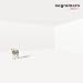 Negramaro-000577 cd cover