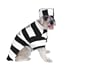 MEDIUM - Prison Pooch Dog Costume